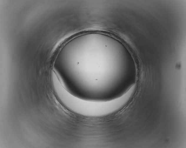 X0000113181356200909251431