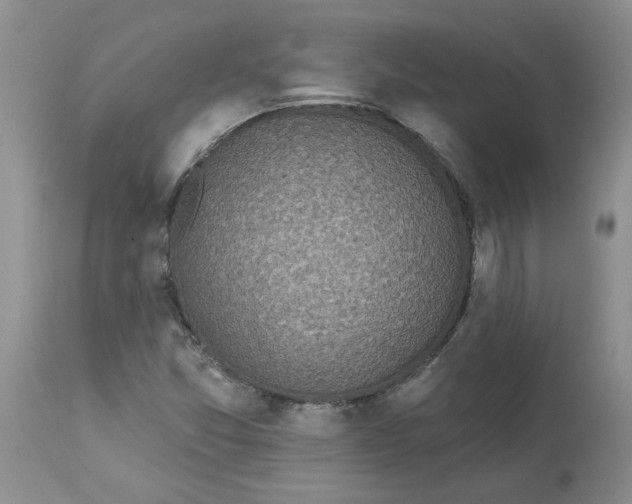 X0000113181357200909251431