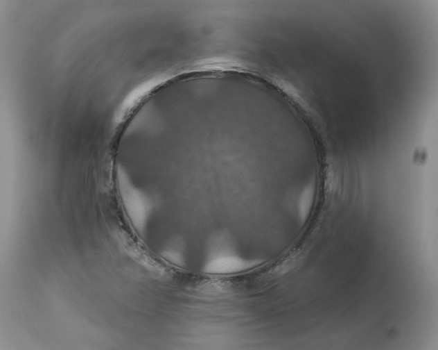 X0000113181358200909251431