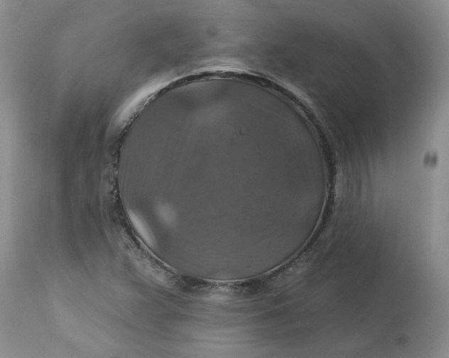 X0000113181359200909251431