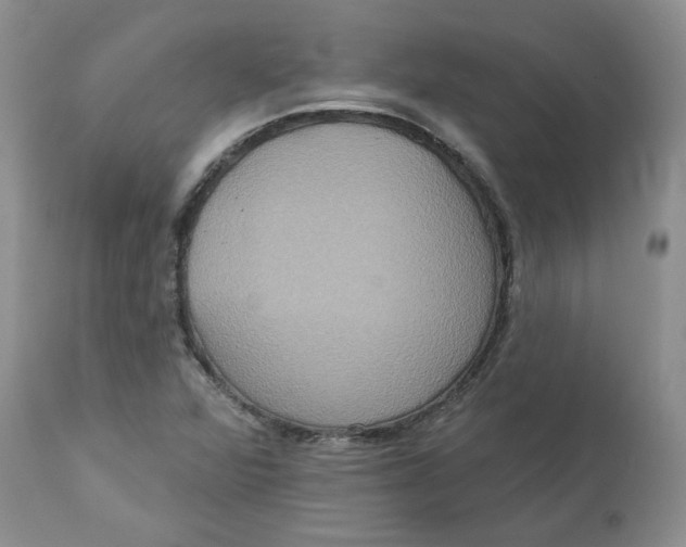 X0000113181360200909251431