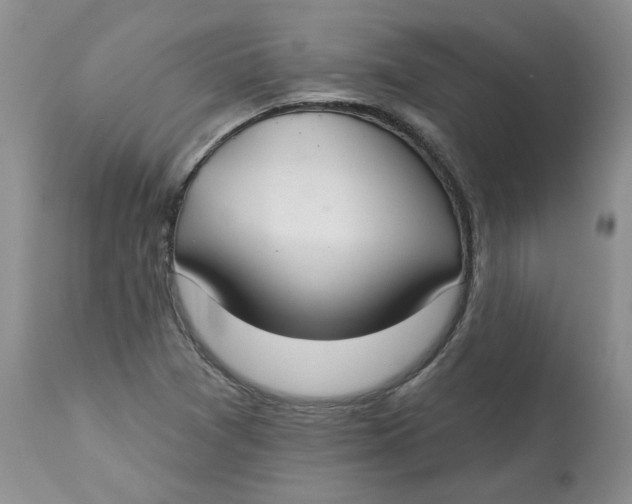 X0000113181361200909251431