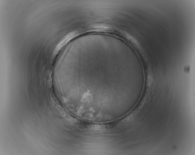 X0000113181362200909251431