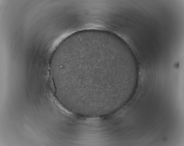 X0000113181363200909251431