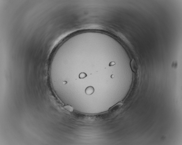 X0000113181364200909251431