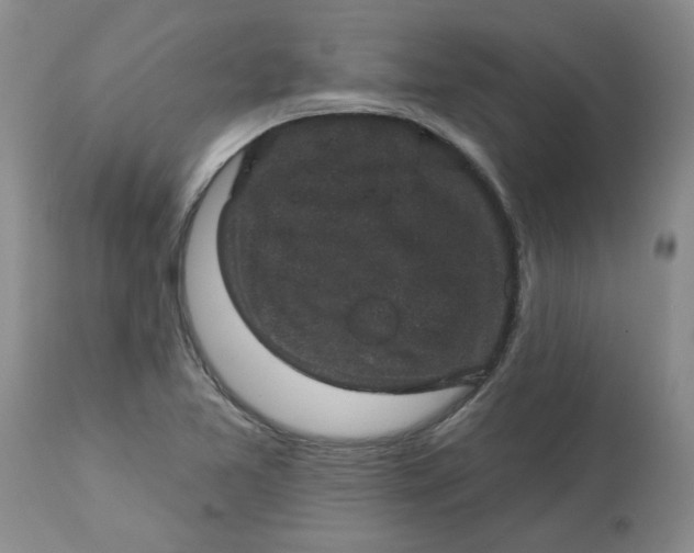 X0000113181365200909251431