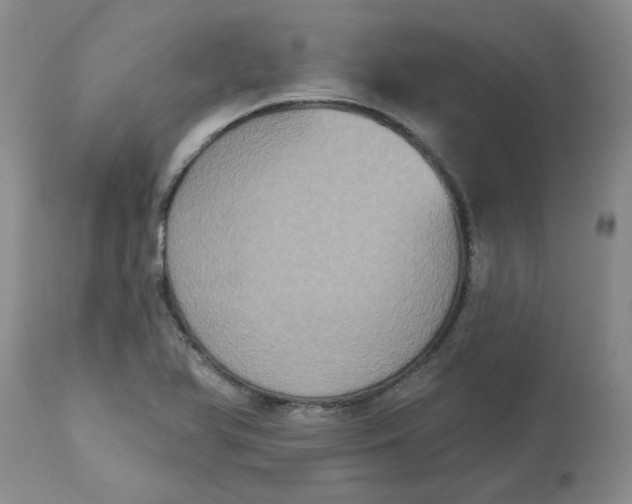 X0000113181366200909251431