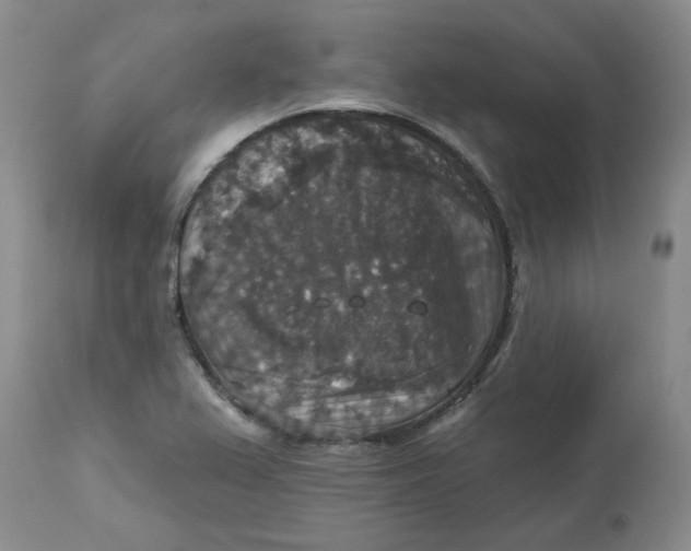 X0000113181367200909251431