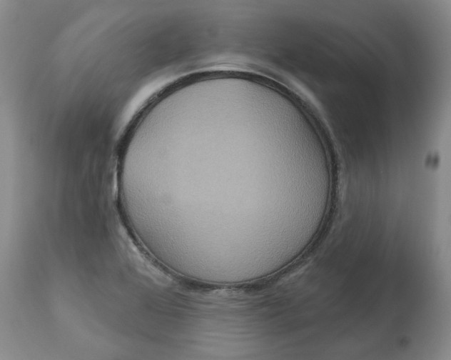 X0000113181368200909251431