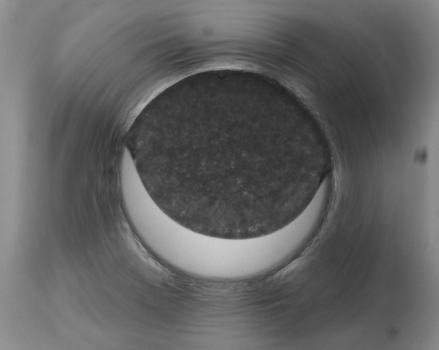 X0000113181369200909251431