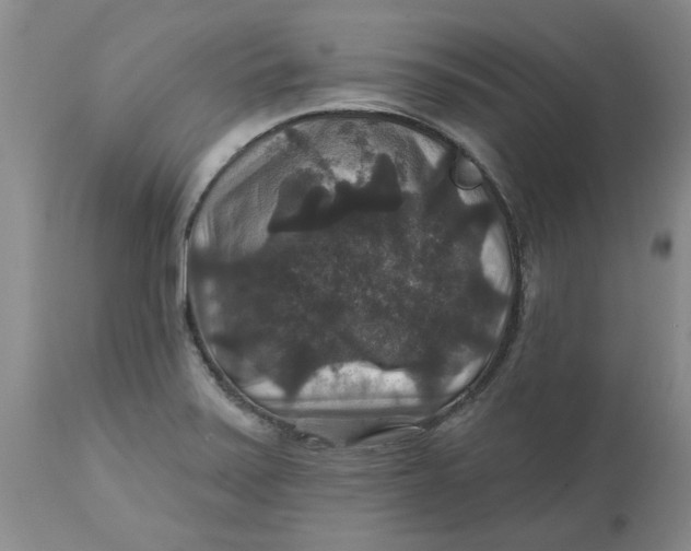 X0000113181371200909251431