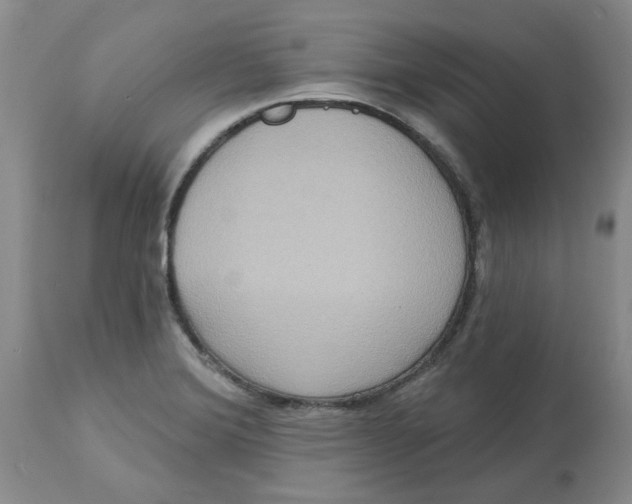 X0000113181372200909251431