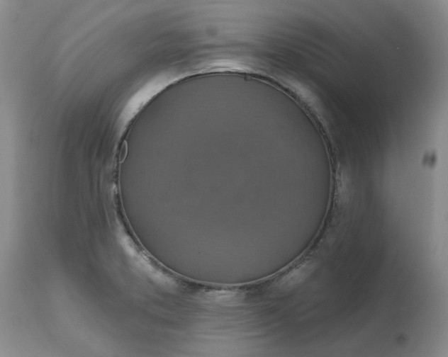 X0000113181373200909251431