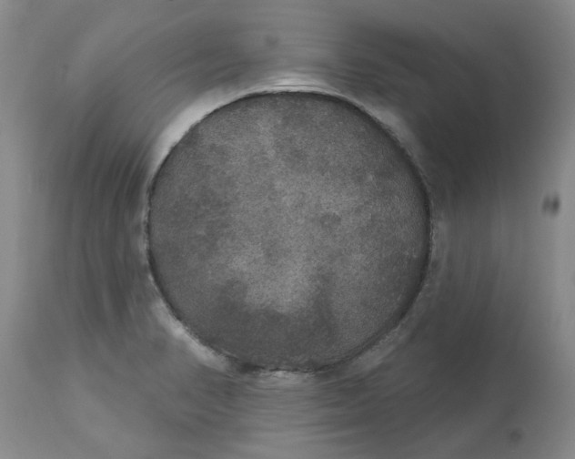 X0000113181374200909251431