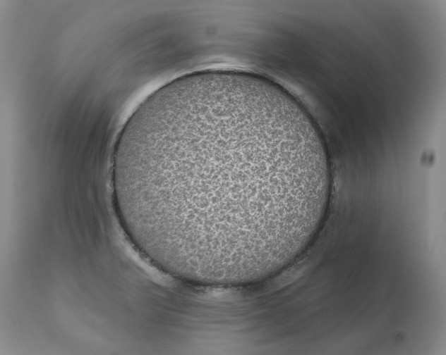 X0000113181375200909251431