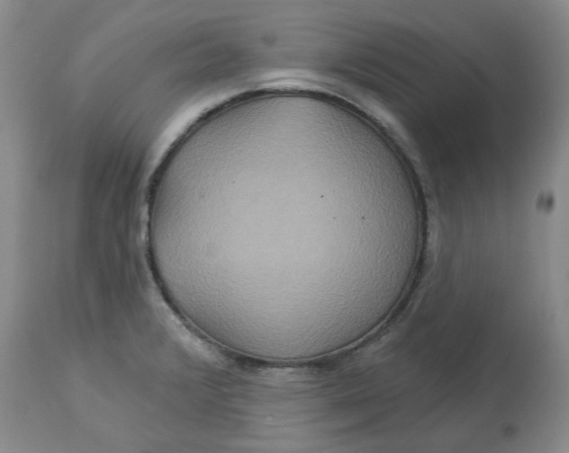 X0000113181376200909251431