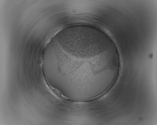 X0000113181377200909251431