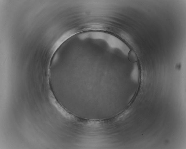 X0000113181378200909251431