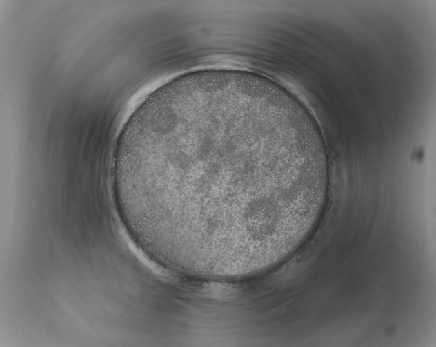 X0000113181379200909251431