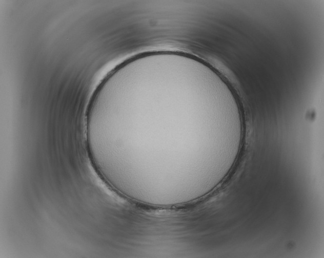 X0000113181380200909251431