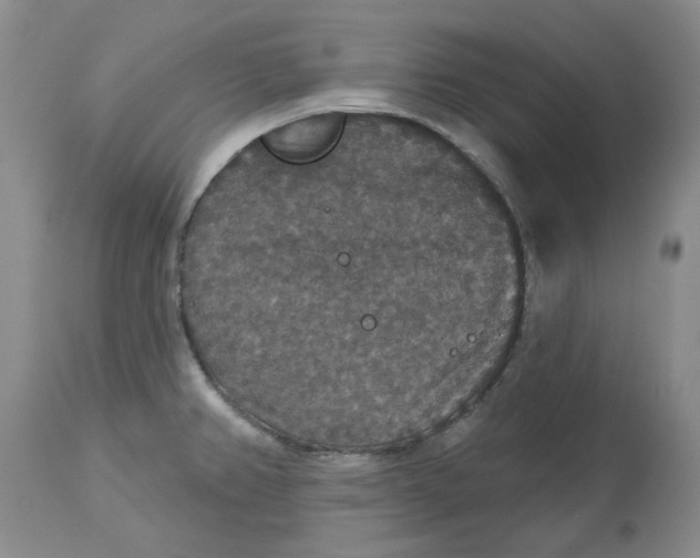 X0000113181382200909251431