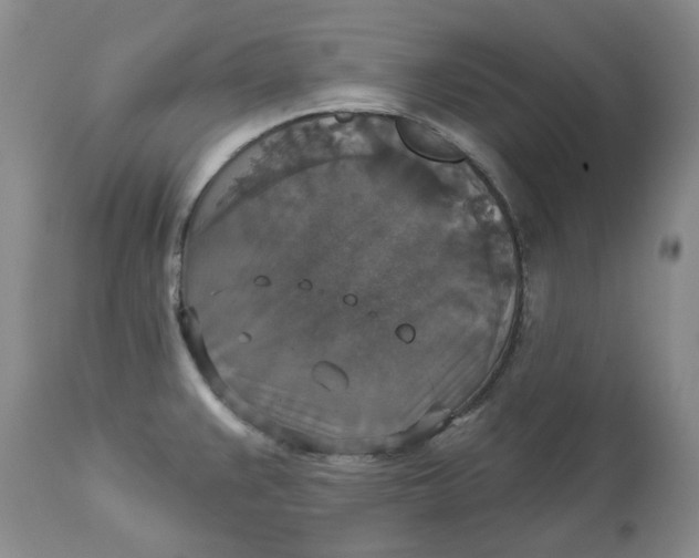 X0000113181383200909251431