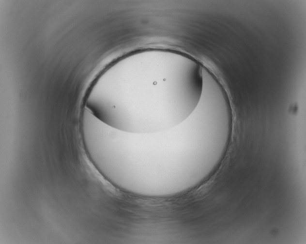 X0000113181384200909251431