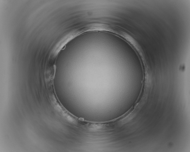 X0000113181385200909251431