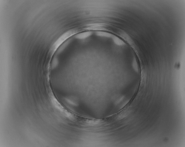 X0000113181386200909251431