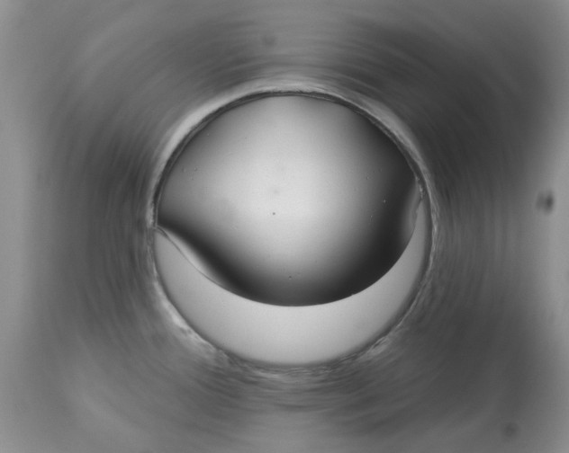 X0000113181388200909251431