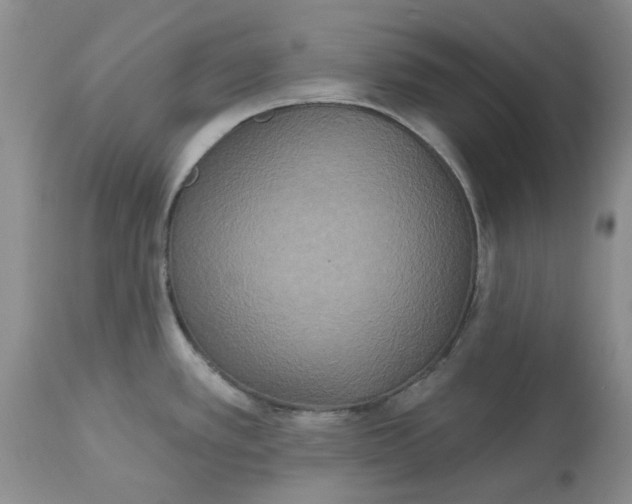 X0000113181389200909251431