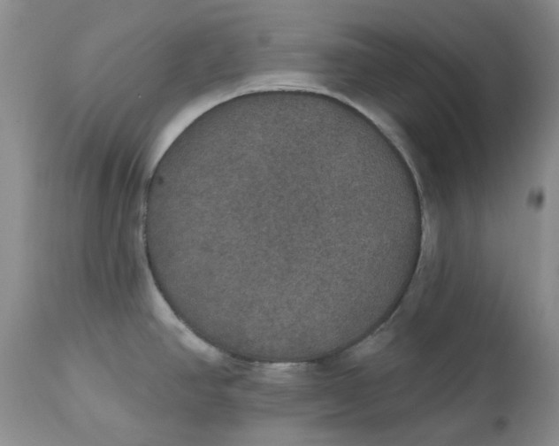 X0000113181390200909251431