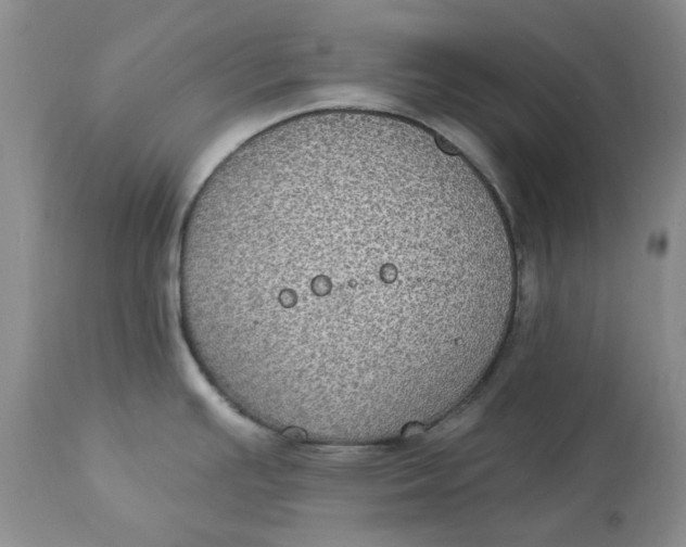 X0000113181391200909251431