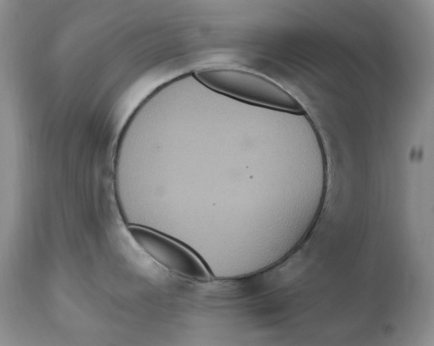 X0000113181392200909251431