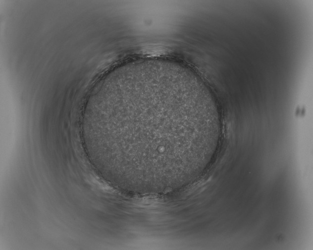 X0000113181393200909251430