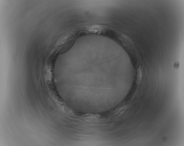 X0000113181394200909251430