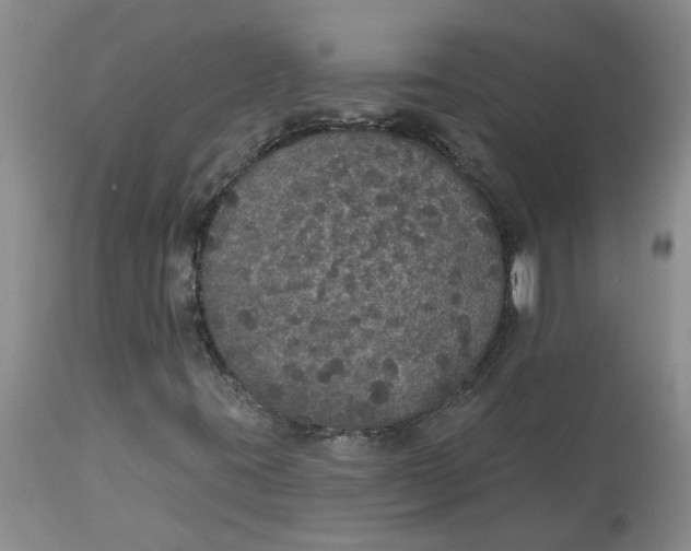 X0000113181395200909251430