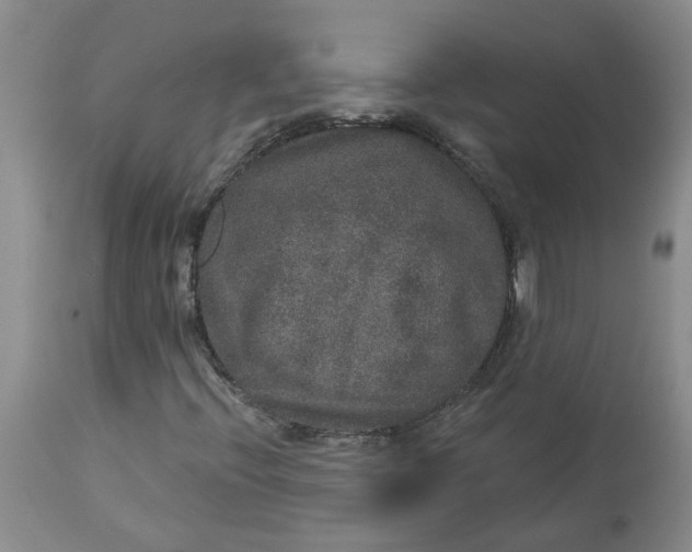 X0000113181396200909251430