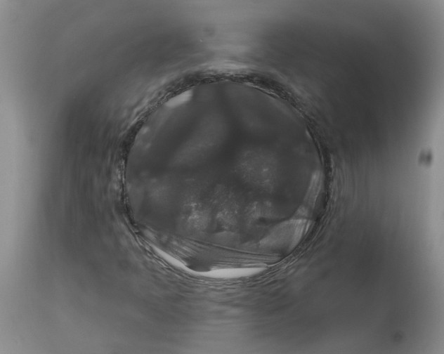 X0000113181397200909251430