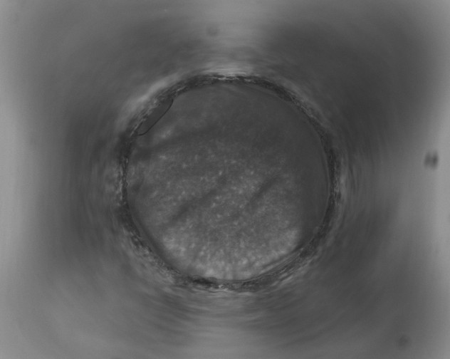 X0000113181398200909251430