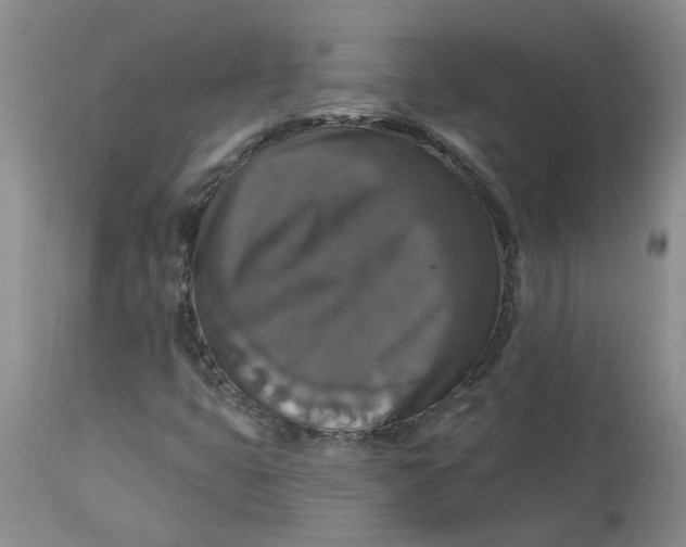 X0000113181399200909251430