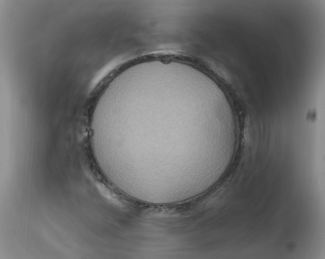 X0000113181400200909251430