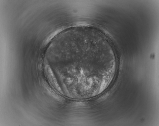 X0000113181401200909251430