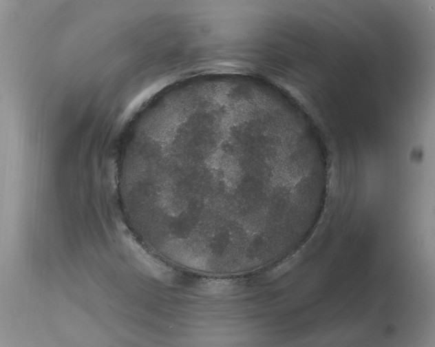 X0000113181402200909251430