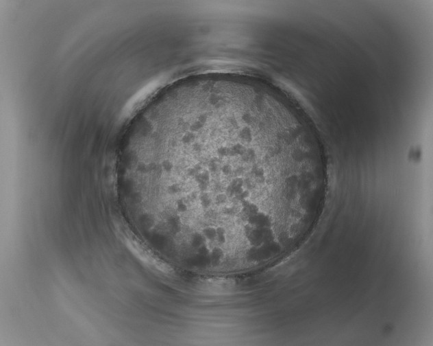 X0000113181403200909251430