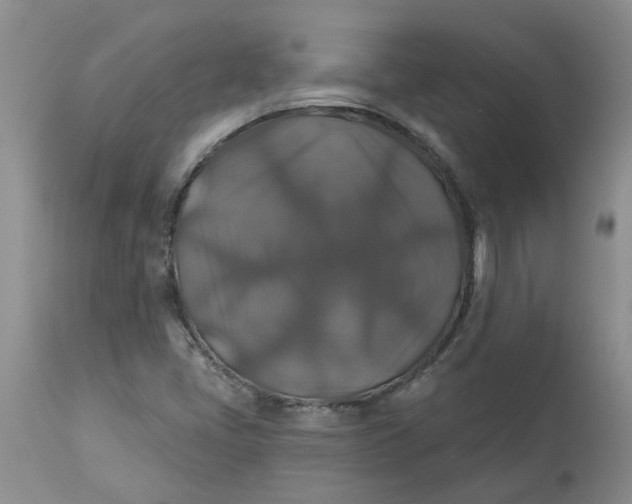 X0000113181405200909251430