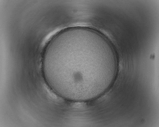 X0000113181406200909251430