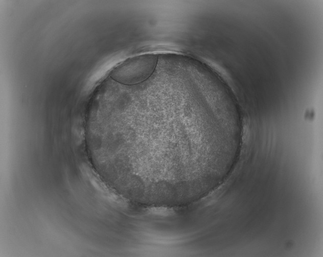 X0000113181407200909251430