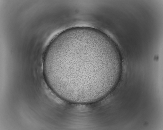 X0000113181408200909251430