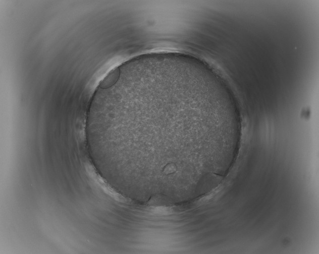 X0000113181409200909251430